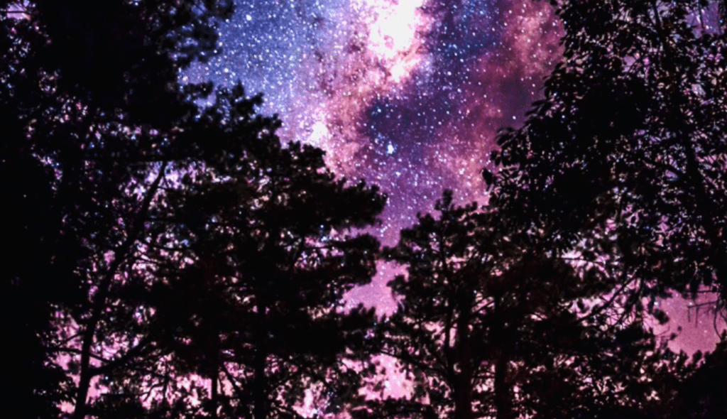Meditation for Sleep