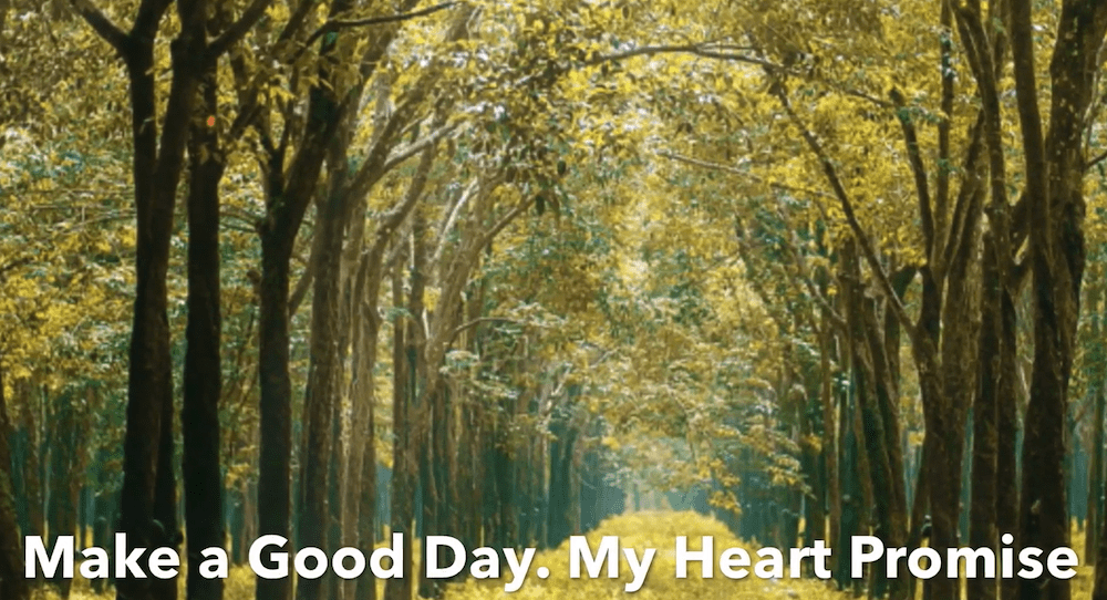 Meditation for a Good Day