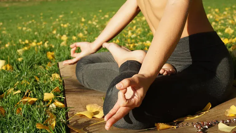 Autumn meditation
